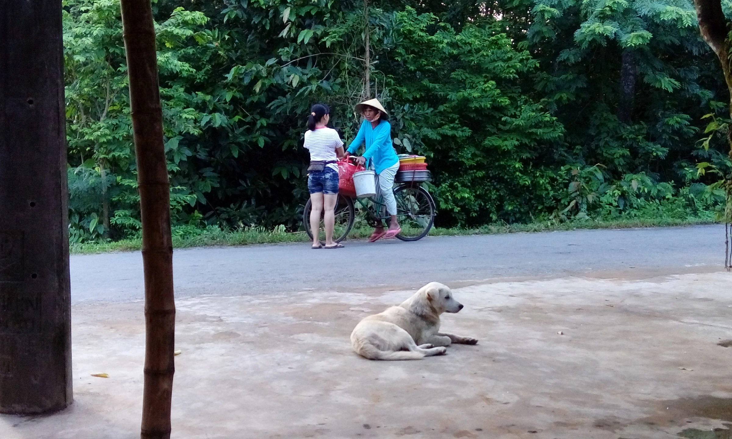 大姨婆戴著越南傳統斗笠，媽媽與大姨婆悠閒地愉快聊天